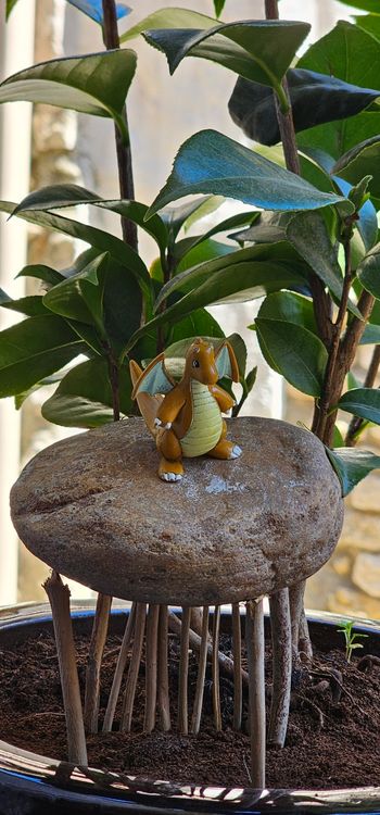 Super figurine Pokemon Nintendo tomy C.G.T.S.J Dracolosse sans antenne 