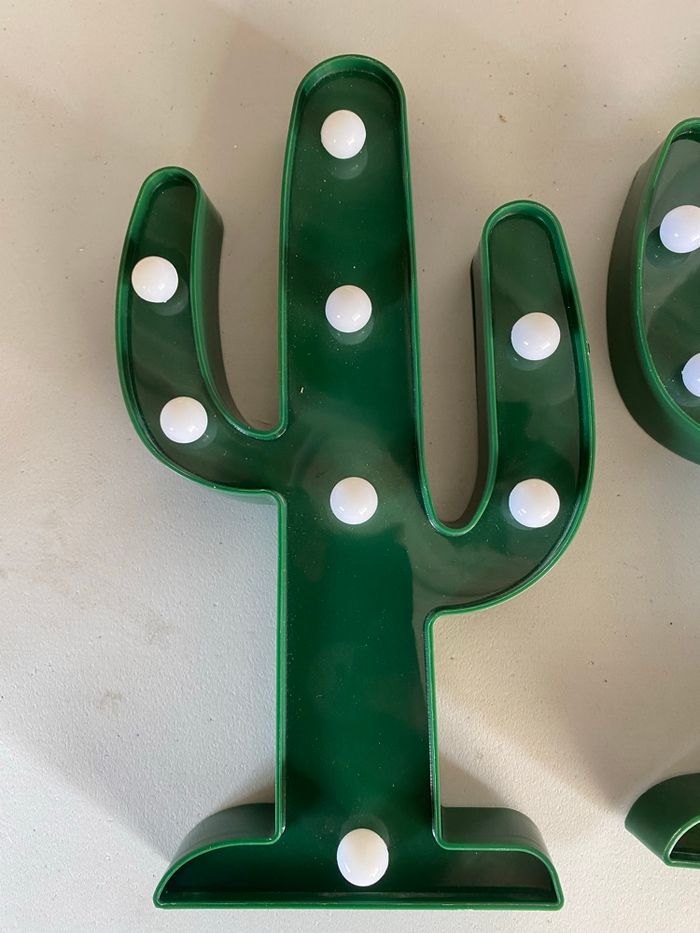 Cactus - photo numéro 4