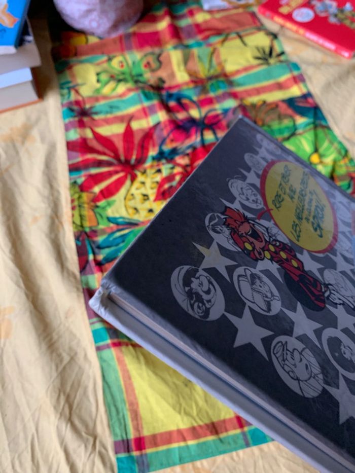 Spirou lettres de mon moulin - photo numéro 6