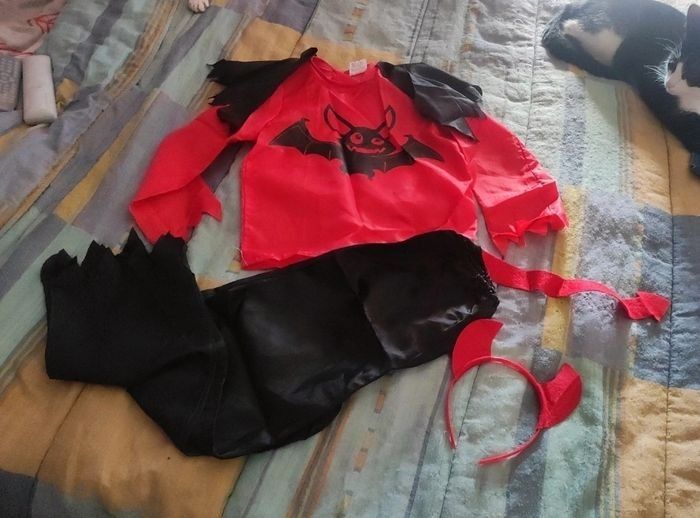 Déguisement diable