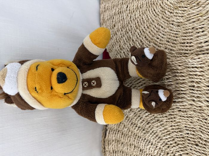 Peluche Winnie l'ourson DISNEYLAND PARIS déguisé en ours marron Disney - photo numéro 3