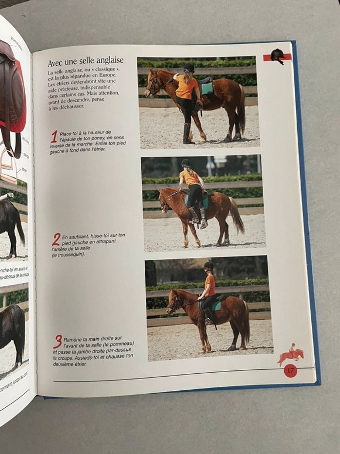 Mes premiers pas à poney - photo numéro 5