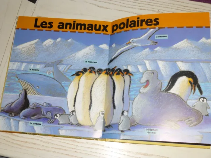 livre animaux d'Ici et d'Ailleurs  livre illustré - photo numéro 2