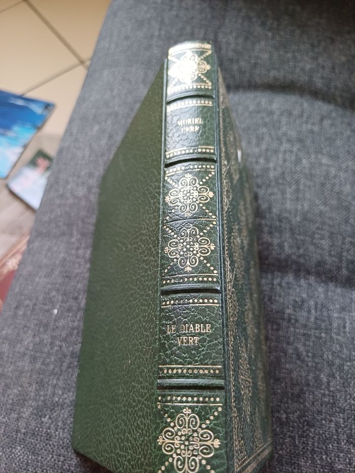 Livre Le diable vert