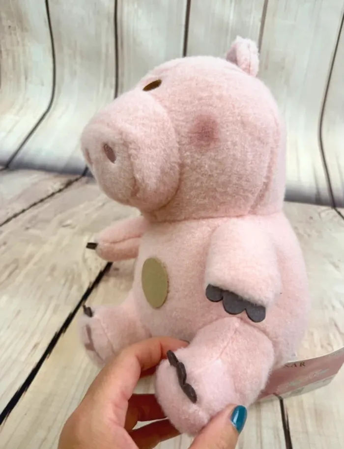 Peluche collector Disney import Japon Bayonne - Ham - Toy Story - photo numéro 5
