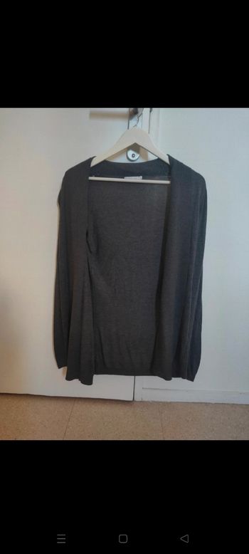 Gilet gris long
