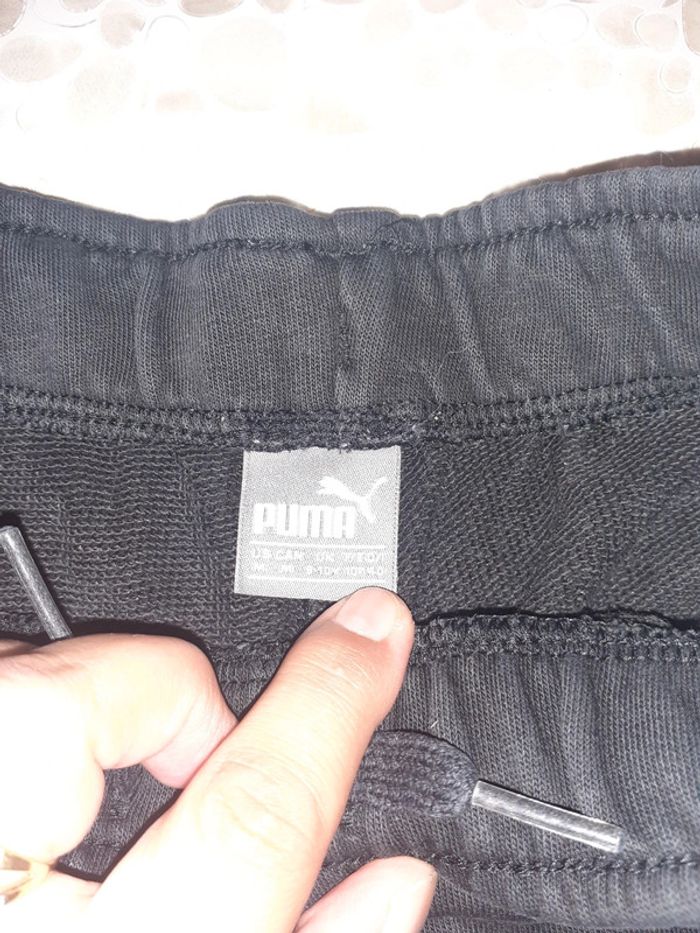Short puma - photo numéro 2