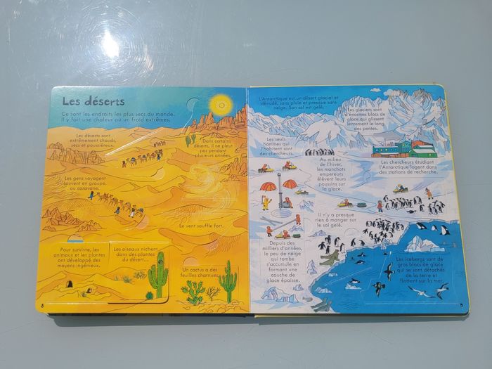 P'tits curieux Usborne 🌎 Notre Terre 🌎 80 rabats - photo numéro 8