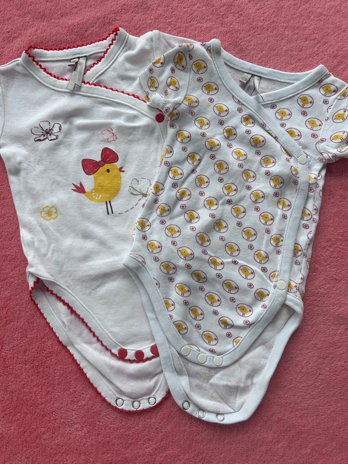 Lot de 3 bodies manches courtes - photo numéro 2