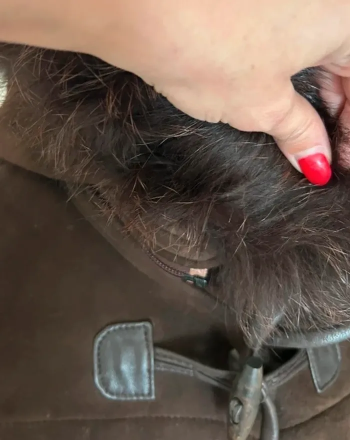 Victor manteau en peau , marron,  capuche amovible femme, taille 40 - photo numéro 6