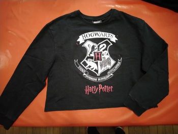 Sweat Harry Potter