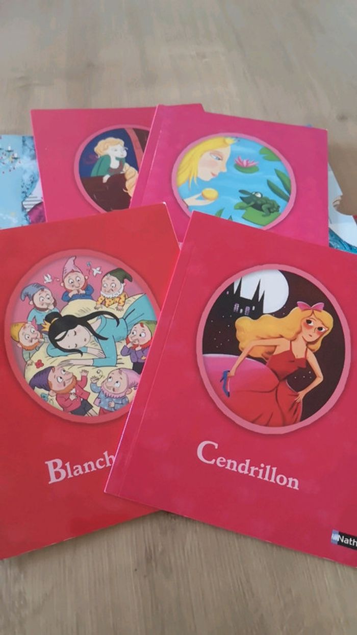 Coffret de 4 livres princesses - photo numéro 4