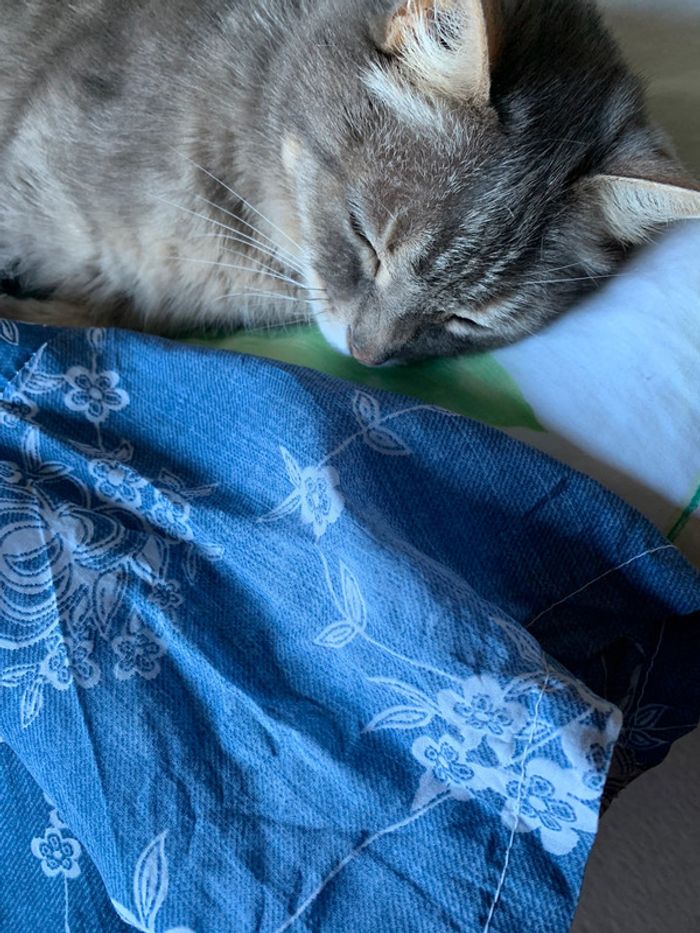 Tee-shirt bleu, jolie dentelle taille 42/44 - photo numéro 8