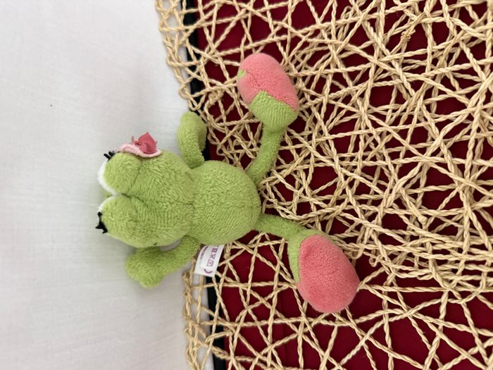 Nici Frog Jolly  grenouille - photo numéro 3