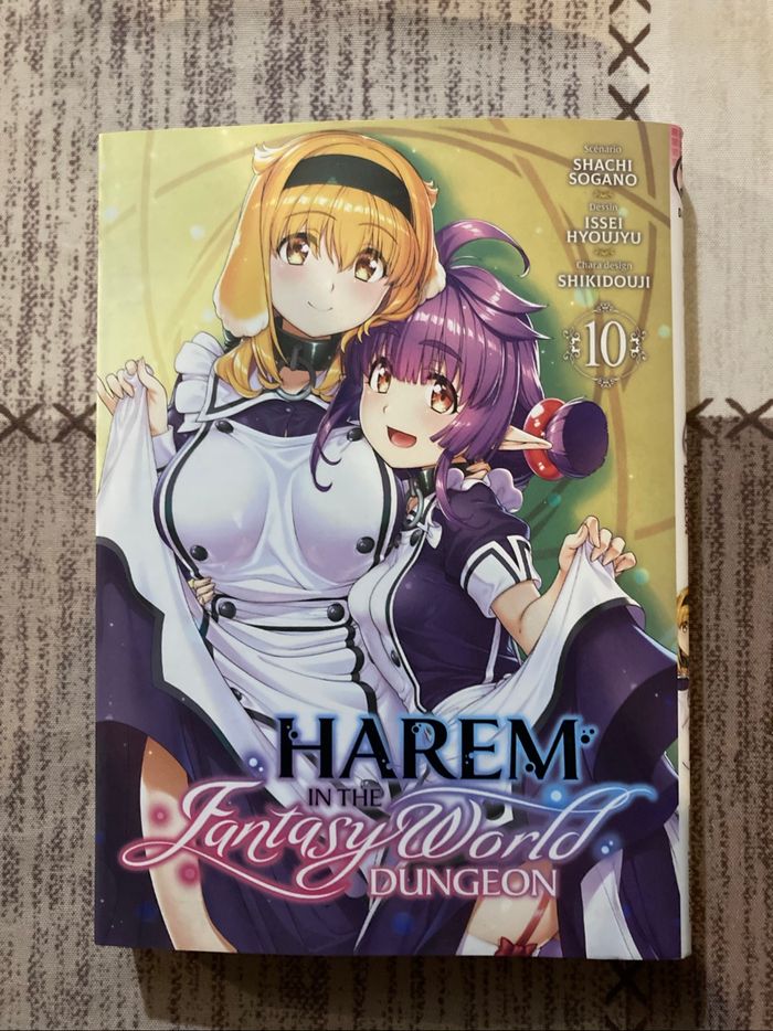Harem in the fantasy world dungeon T.10