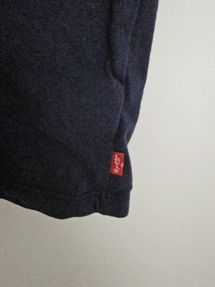 Polo levis - photo numéro 4