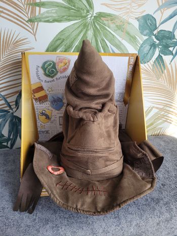 Choixpeau Harry Potter 