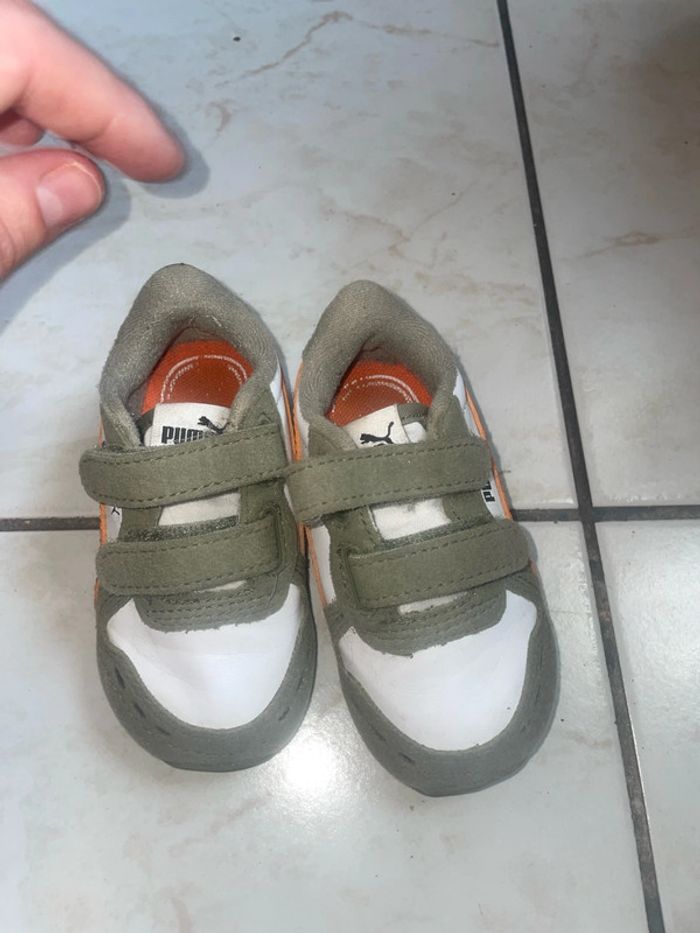 Puma bébé - photo numéro 2