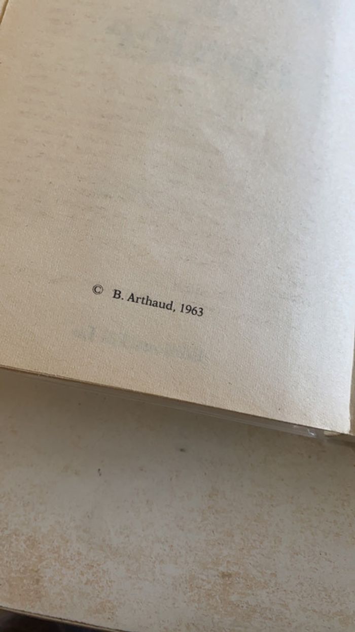 Roman Premier de cordée - photo numéro 4