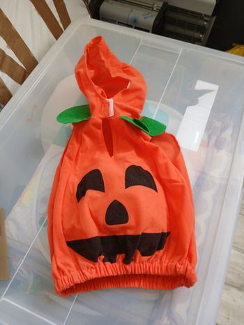 Déguisement citrouille