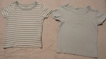 Lot de 2 tee-shirt Vertbaudet (réf perso J30)(familleac72)