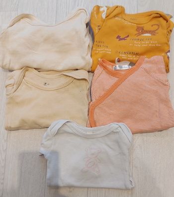 Lot de 5 bodies manches longues 6m