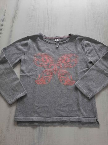 Pull papillon