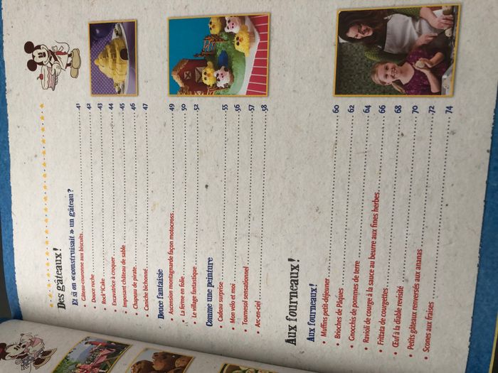 Loisirs en famille, Disney - photo numéro 4