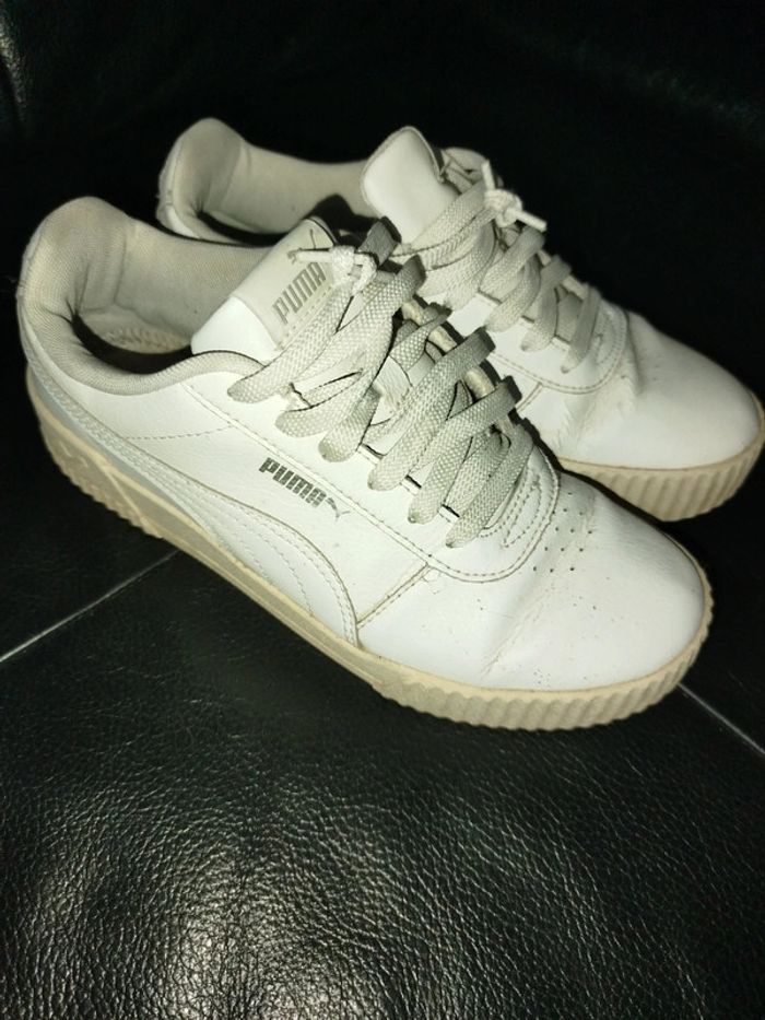 Puma femme - photo numéro 2