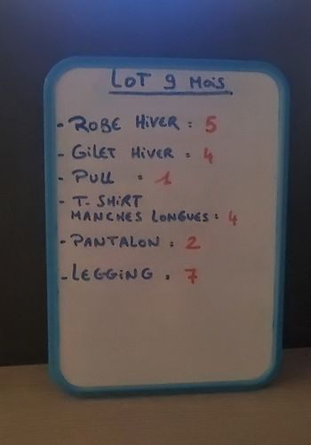 Lot bébé fille 9 mois