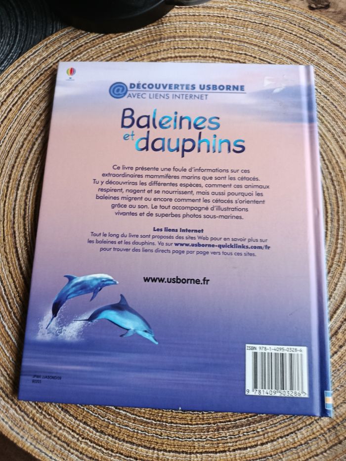 Baleine et dauphins - photo numéro 2