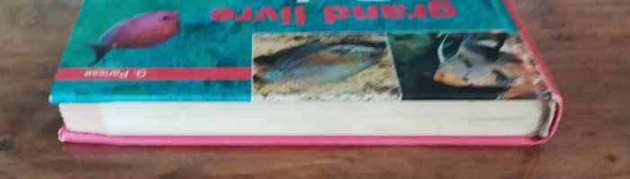 Grand livre des poissons Tropicaux - photo numéro 5