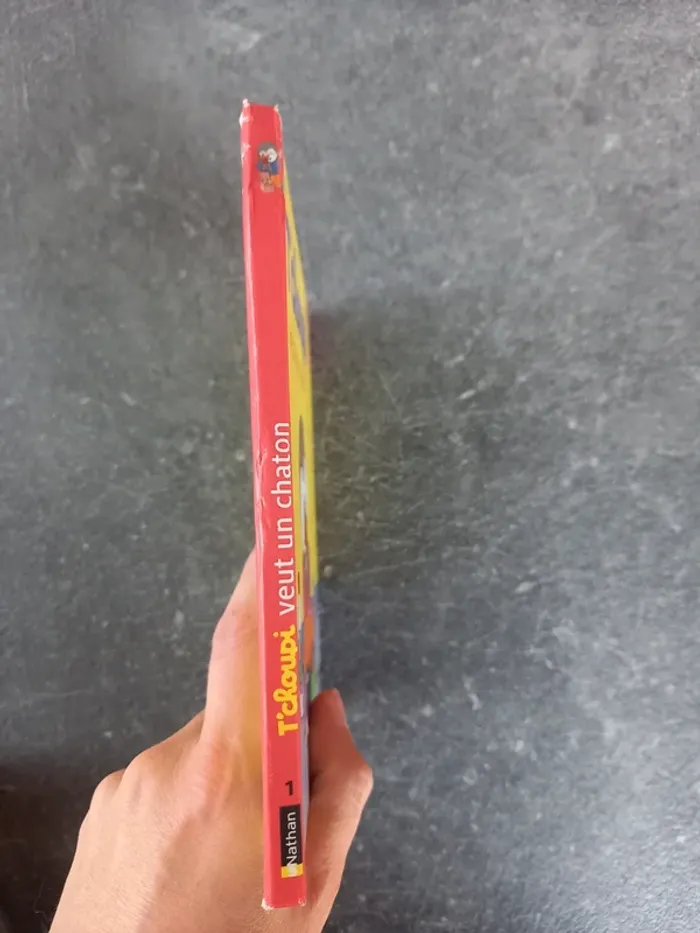 Livre T'choupi veut un chaton - photo numéro 3