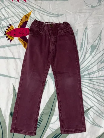 Pantalon violine inextenso
