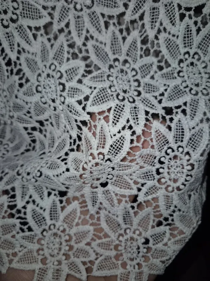 Blouse dentelles Zara - photo numéro 5