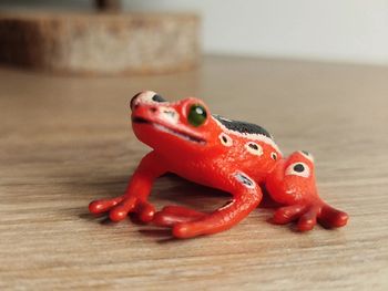 Figurine grenouille venimeuse Animal de la savane