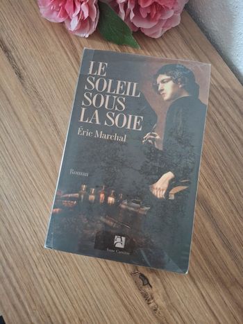 Livre: Le soleil sous la soie - Eric Marchal