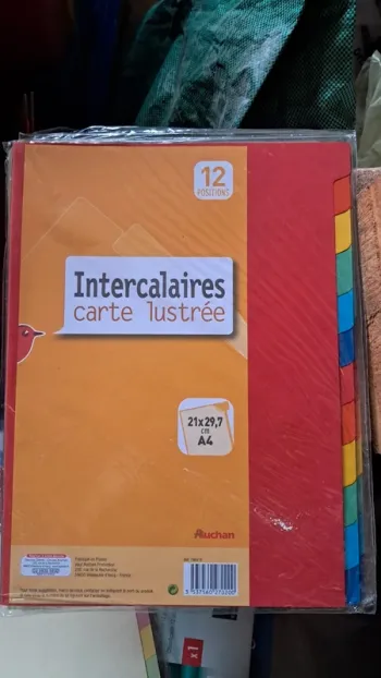 Pochettes de 12 intercalaires
