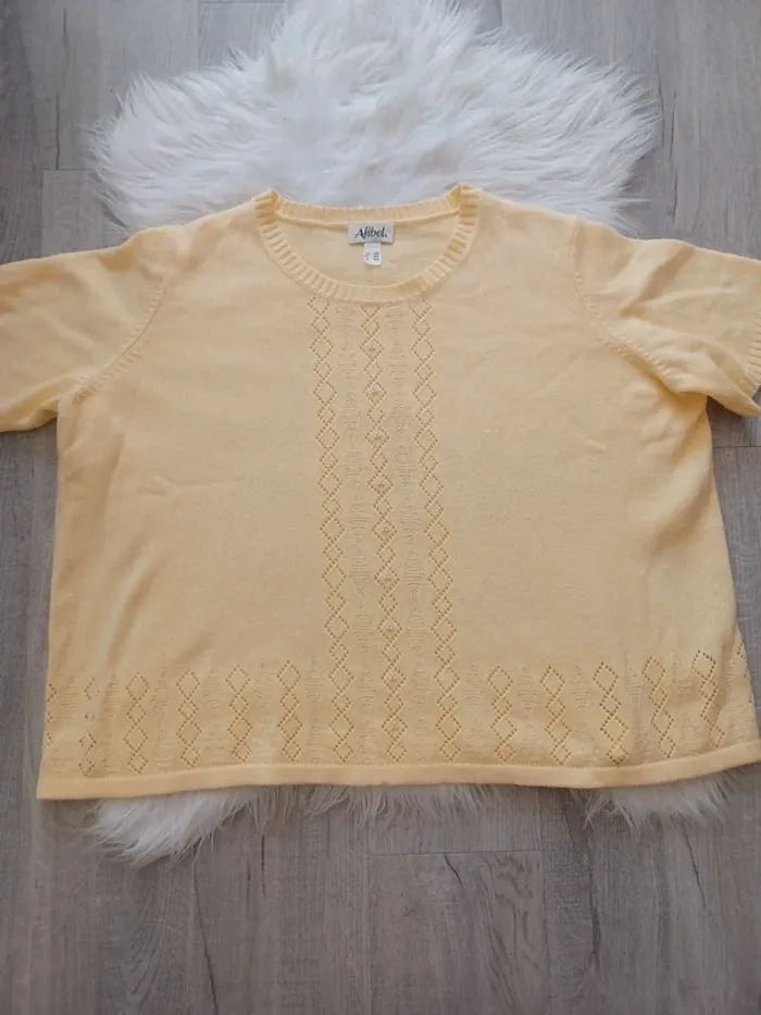 Pull femme manches courtes grande taille