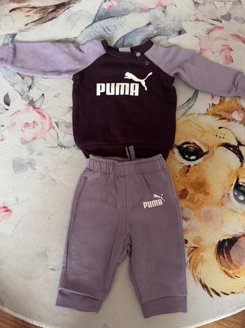 Ensemble puma