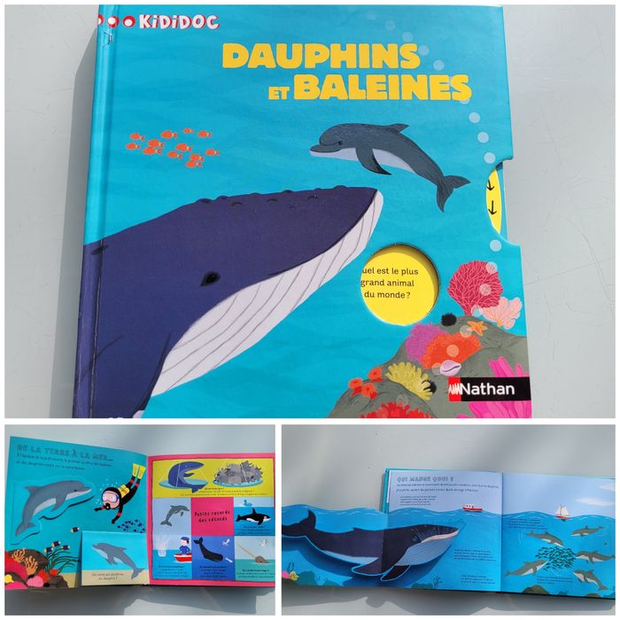 Livres animé à tirettes Kididoc : D'où ça vient ? Dauphins et Baleines et Les Dinosaures - photo numéro 2