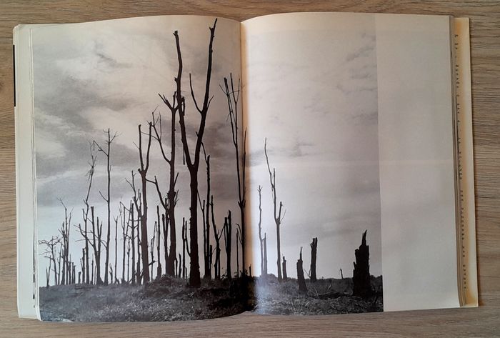 Des Hommes debout - Paul L. Seith les montagnards du sud-viêtnam - photo numéro 9