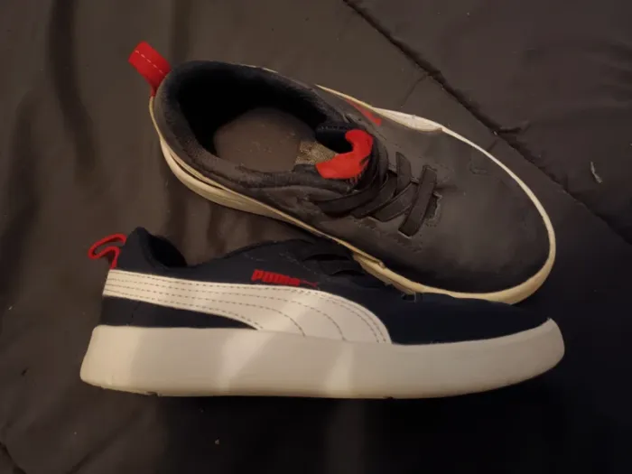 Basket puma