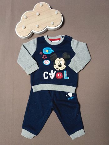 Ensemble mickey