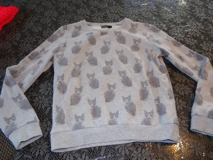 Pull chat - photo numéro 5
