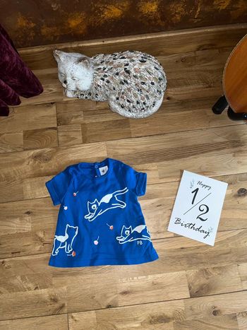 T-shirt bleu toi motifs chats petit bateau très bon état 6mois/67cm