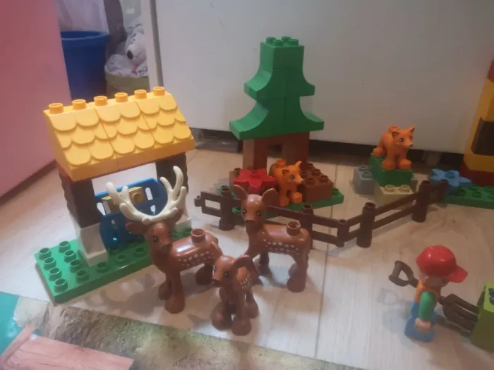 Duplo parc de la forêt - photo numéro 3