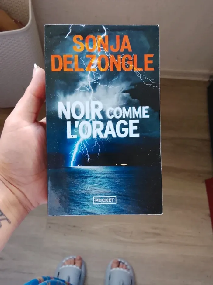 Livre de Sonja delzongle