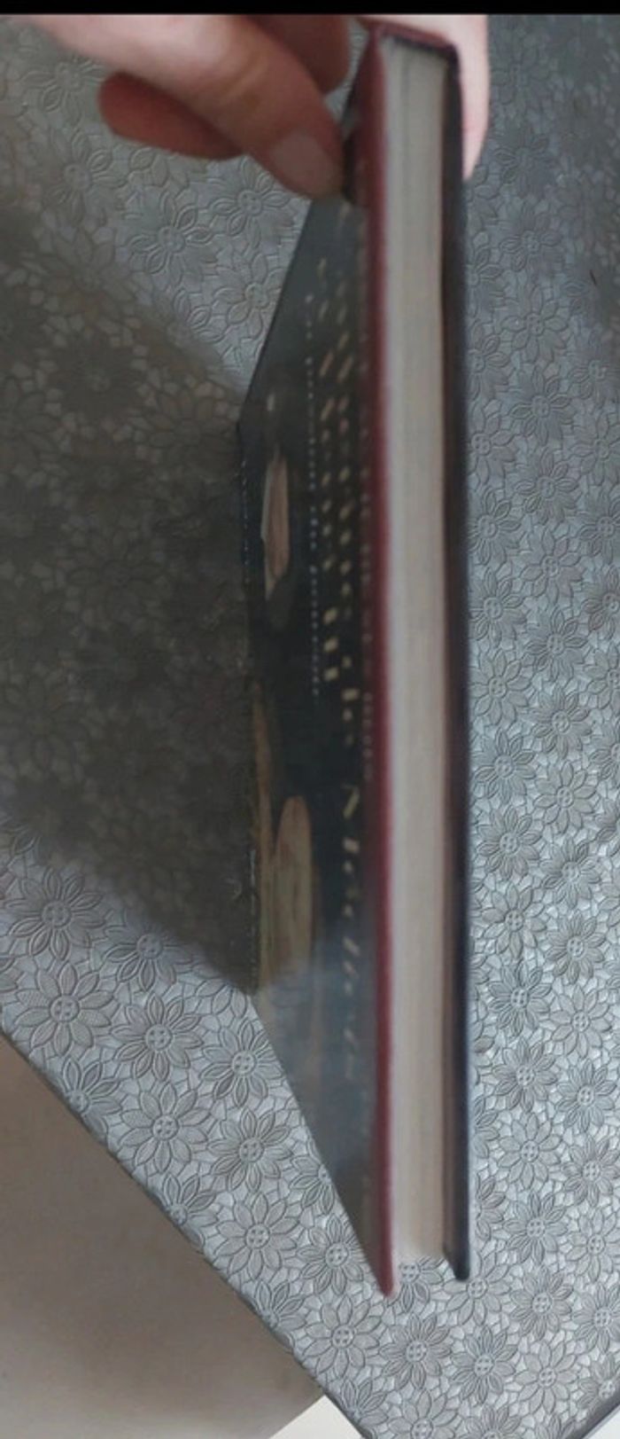 Catherine de médicis et Henri 3 la passion du pouvoir - photo numéro 2