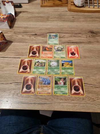 13 carte pokémon 2007